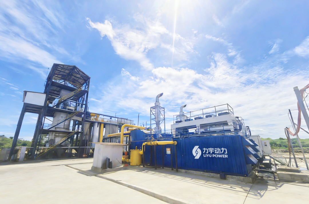 印尼煤制气项目1