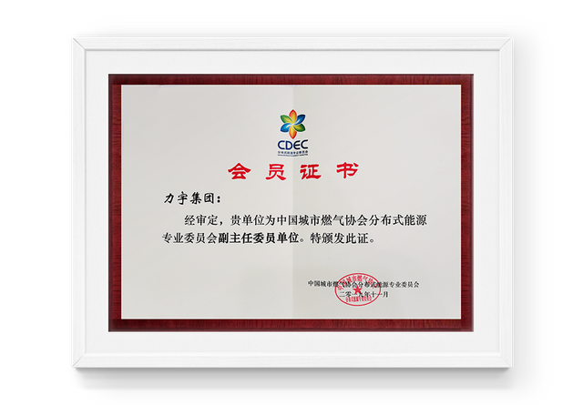 中国城市燃气协会分布式能源专业委员会副主任委员单位评价