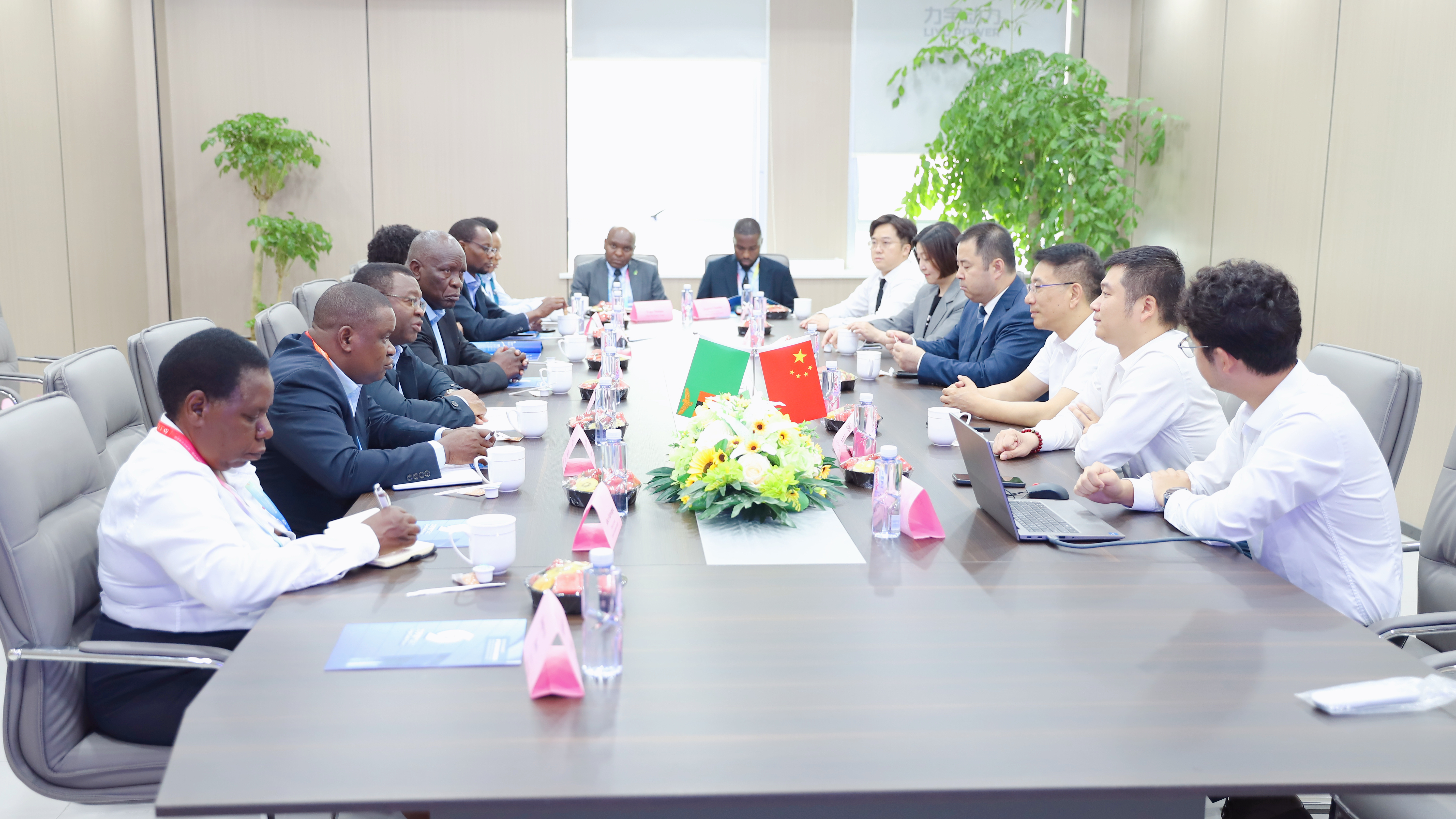 10. 赞比亚代表团洽谈会