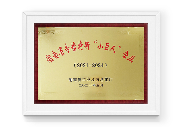 湖南省专精特新“小巨人”企业