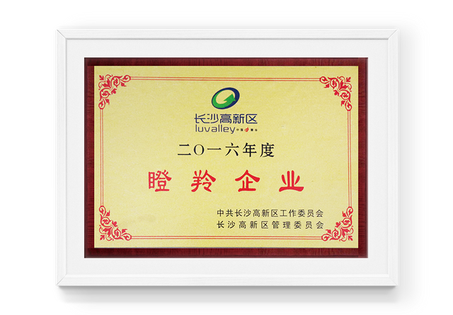 2016年度长沙高新区瞪羚企业